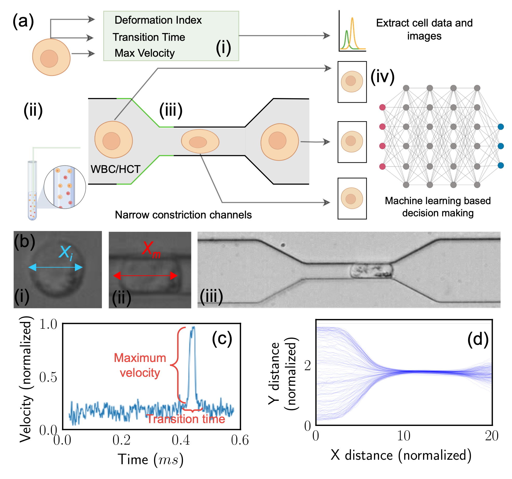 Multiplex Image Machine Learning (MIML)