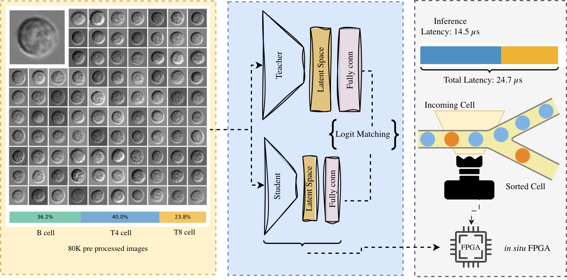 Real-Time Cell Sorting with FPGA-Accelerated Deep Learning