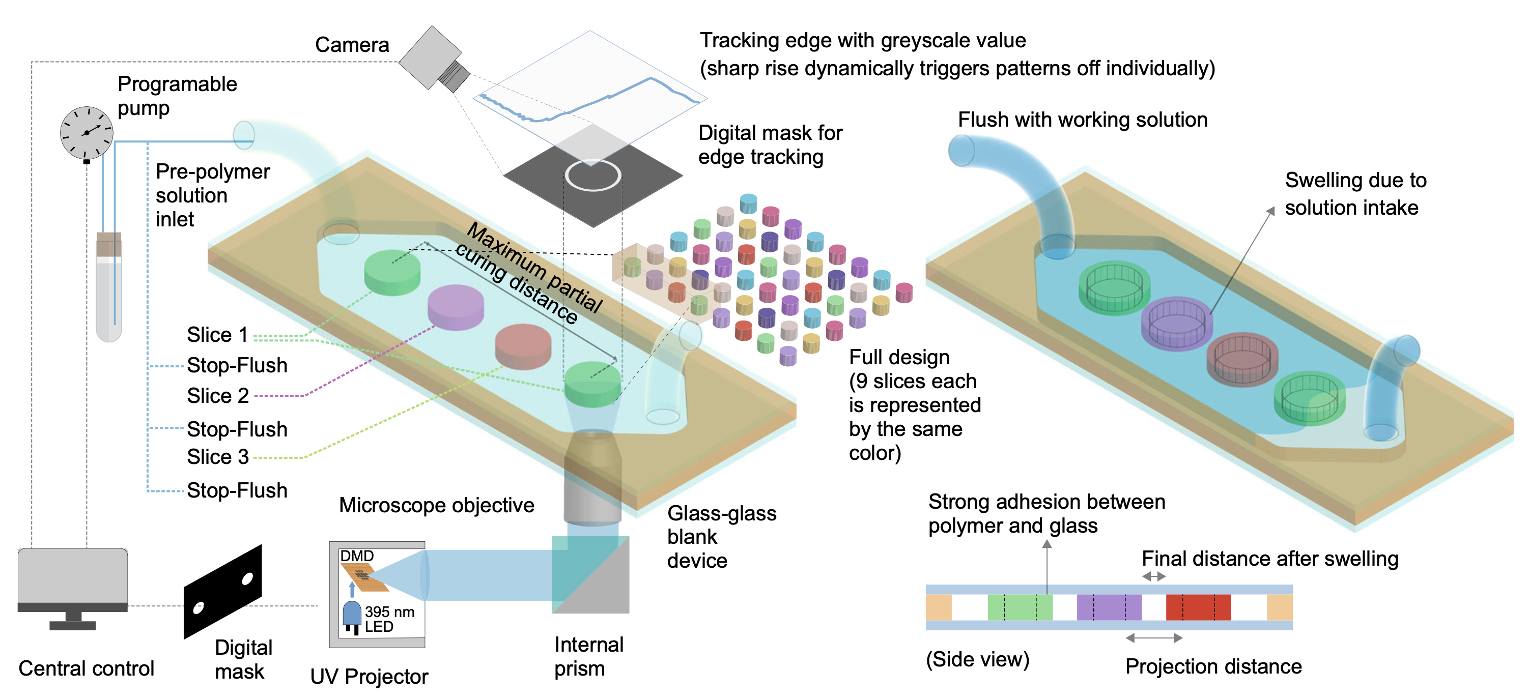 Maskless image guided microfluidic prototyping